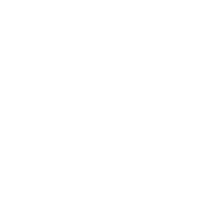 01_LOGOS_BRICE