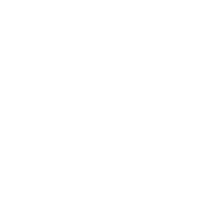 02_LOGOS_BIC