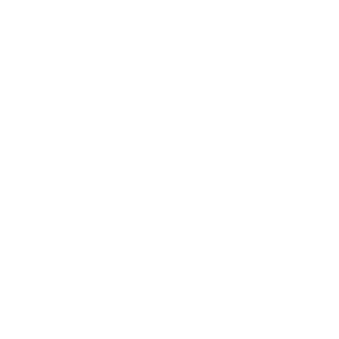 02_LOGOS_WOLDSKILLS