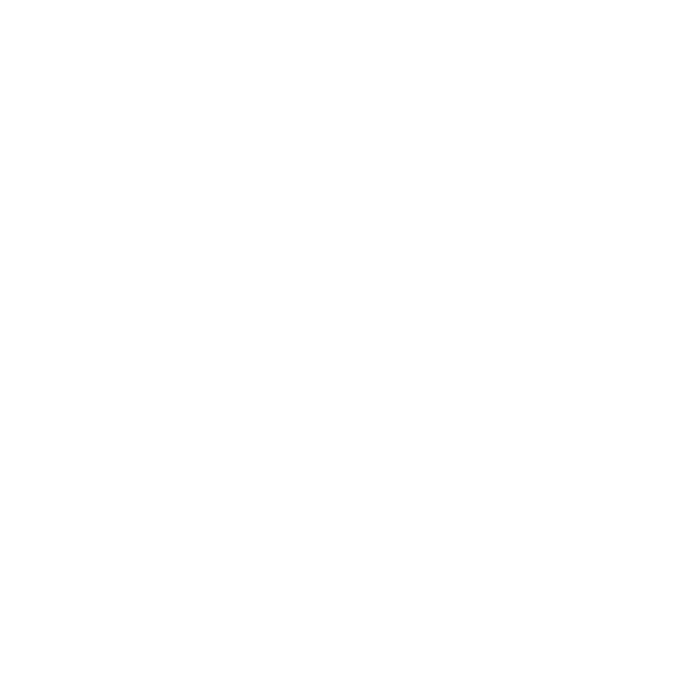 04_LOGOS_LYON-URBAN-TRAIL