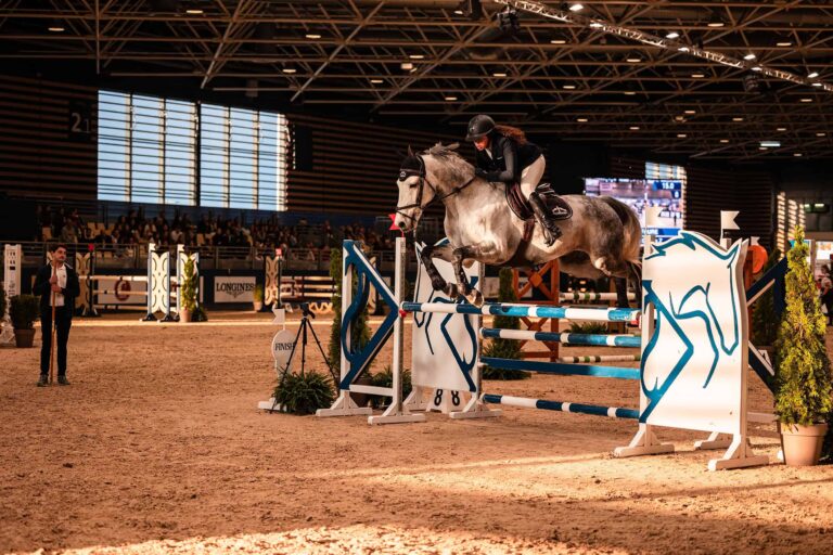 une cavalière et son cheval sur un saut d'obstacles